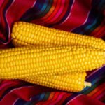 corn2